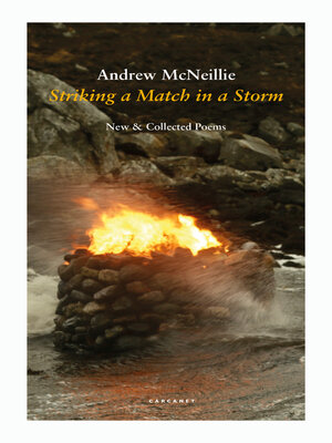 cover image of Striking a Match in a Storm